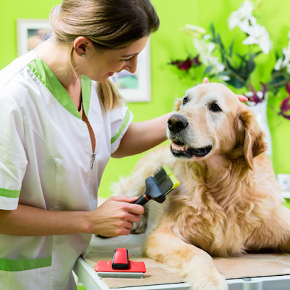 Australasian Dog Grooming Academy