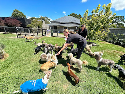 Bark Avenue Luxury Pet Resort
