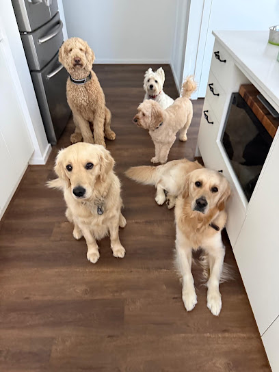 Woof N’ Run
