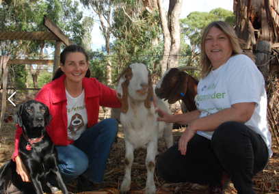 Hills Petminder