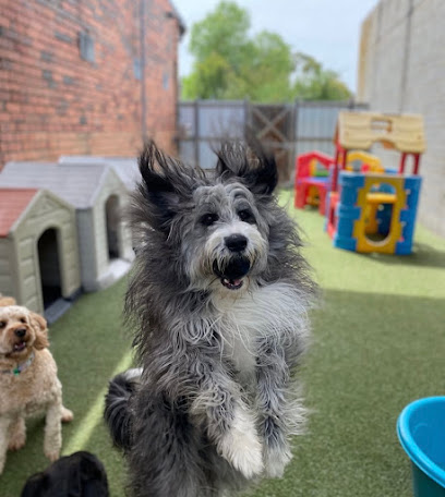 Waggy Tails Dog Day Care