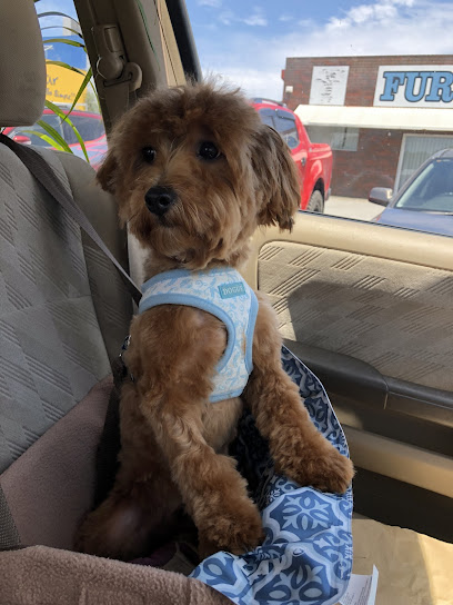 Furtastic Dog Grooming