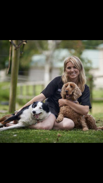 Becky’s Perfect Paws, Dog Groomer