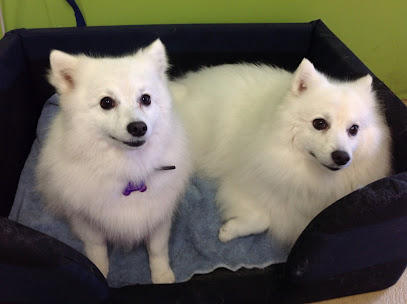 Fablab Dog Wash & Grooming