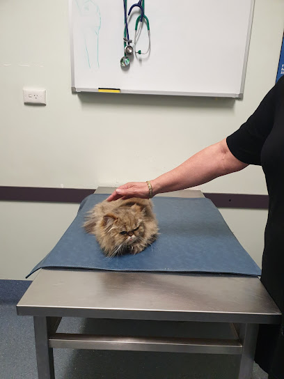 Noranda Veterinary Clinic