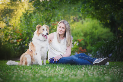 Pets Behaving Badly