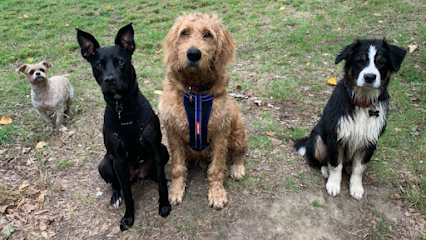 Woof Pack Dog Walking Sunbury