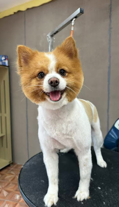 Paws N’ Buddy Pet Grooming