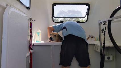 Waggy Tails Doggy Wash