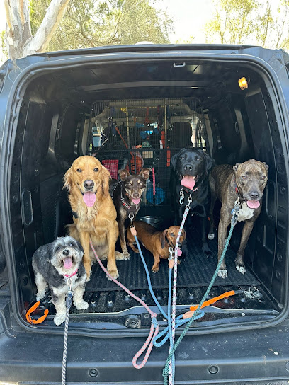 Dogs of Melbourne