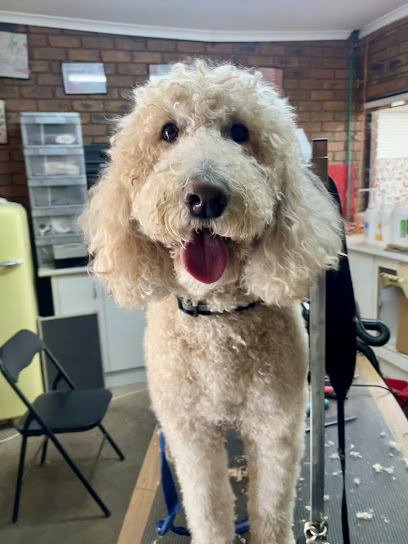 Puppy Love Day Spa