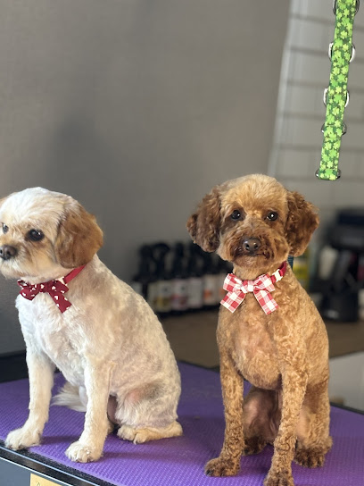 Bark Fur Joy Dog Grooming