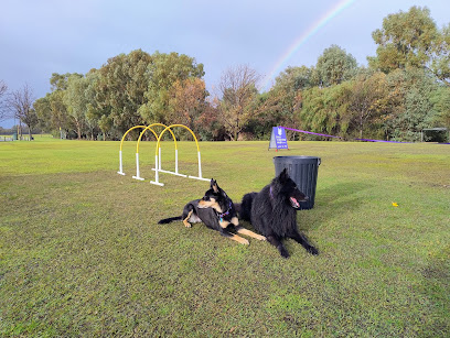 Dog Training Help
