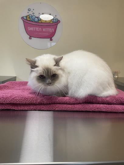 Smitten Kitten Cat Grooming