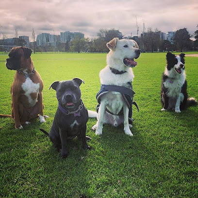 Happy Hounds