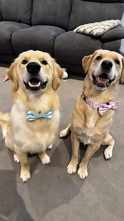 Elegant Pooches