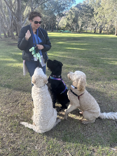 Walking Paws Dog Walking and Day Care