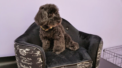 Bel’s Short ‘N Fluffy Grooming Service
