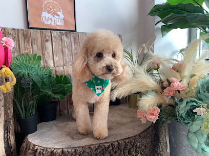 Oh My Fur Pet Salon