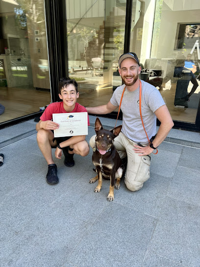 True Dog Training