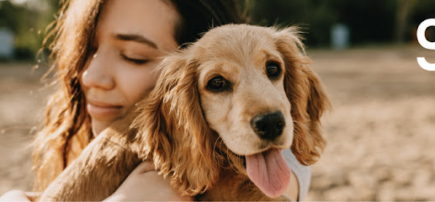 Carrum Downs Veterinary Hospital