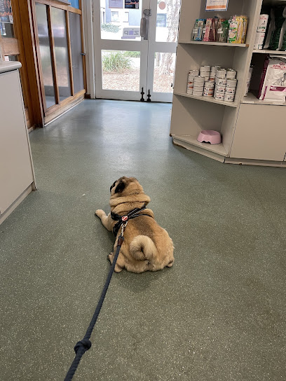 St Kilda Veterinary Clinic