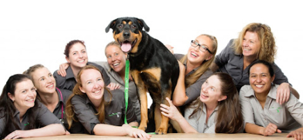 Swan Street Vet