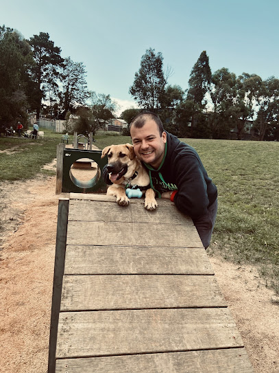 Dream Dogz Positive Training