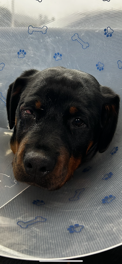 Kudah Veterinary Services
