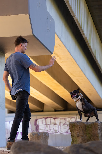 Act of Dog