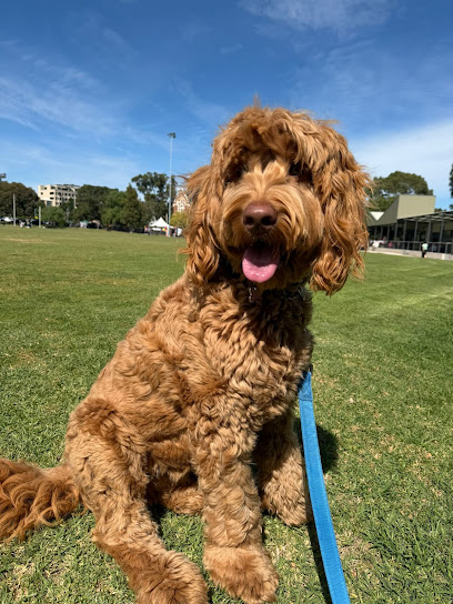 Bark Busters Melbourne North In Home Dog Training