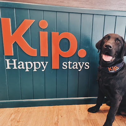 Kip Broadview Dog Daycare