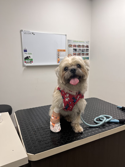 Greencross Vets Booragoon