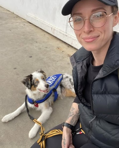 Strong Foundations Dog Training