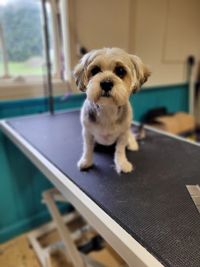 BarkingMad Grooming