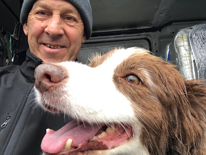 SPLASH HOUNDS DOG WASH