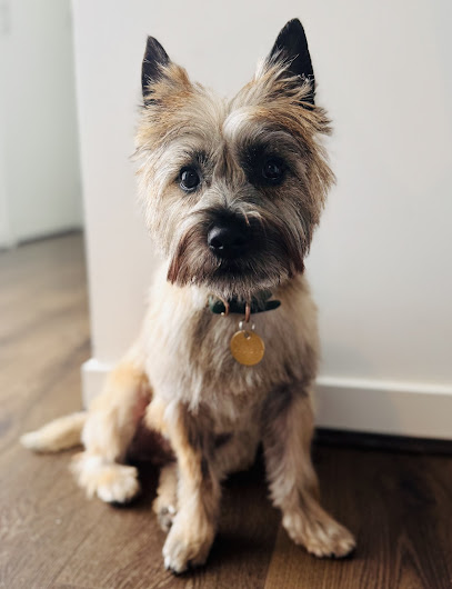 Pets Prerogative