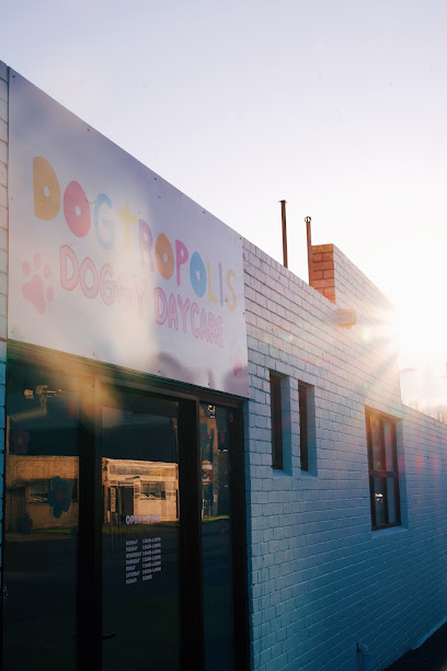 Dogtropolis Doggy Daycare