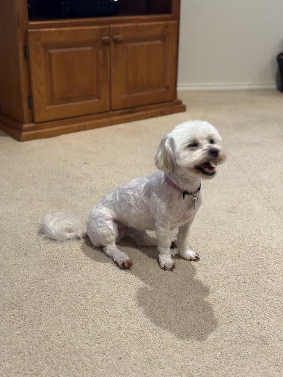 Zoomies Pet Grooming Salon