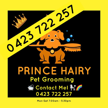 Prince Hairy Pet Grooming