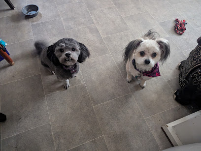 KC’S Klassy Canine Service