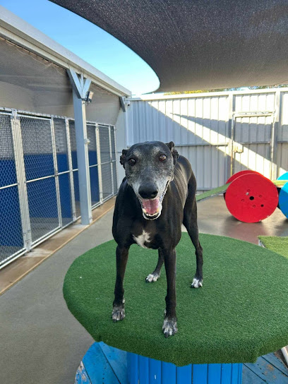 Baldivis Boarding Kennels and Cattery