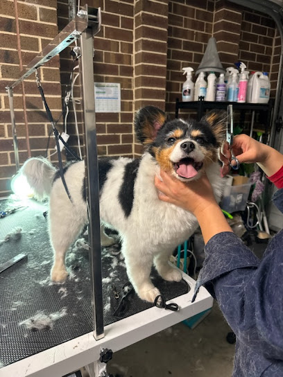 Pawcasso Park- Clayton South