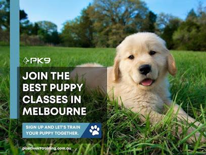 Positive K9 Training