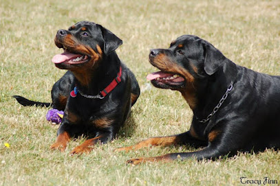 Barking Mad Dog Training