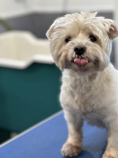 Emerald Dog Grooming