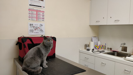 Mentone Veterinary Hospital