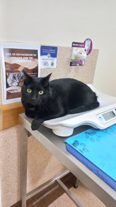Vets4Pets Mawson Lakes