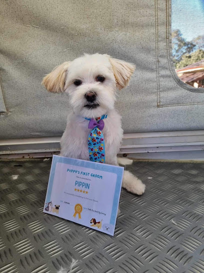 Puddle Paws Small Dog Grooming