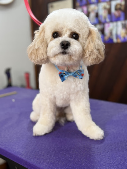 Furry Friends Dog Grooming